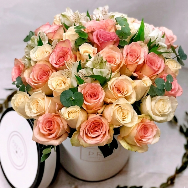 Rose Peach Boks