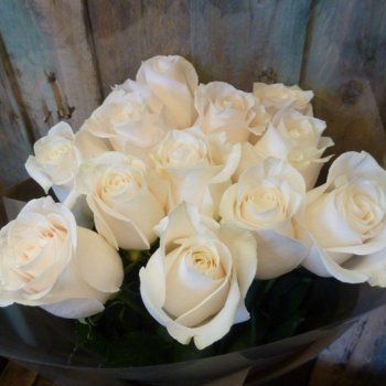 Vendela Cream White