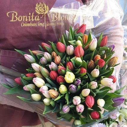 Tulip Multimix