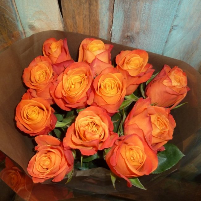 Exotic Orange
